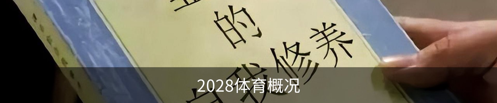2028体育概况